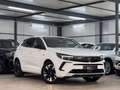 Opel Grandland X Grandland Business 360*LED*SBLF*APS*PARK&GO*1.H Weiß - thumbnail 1