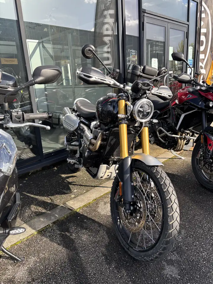Triumph Scrambler