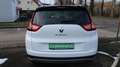 Renault Grand Scenic Scenic IV Grand Limited Blanc - thumbnail 7