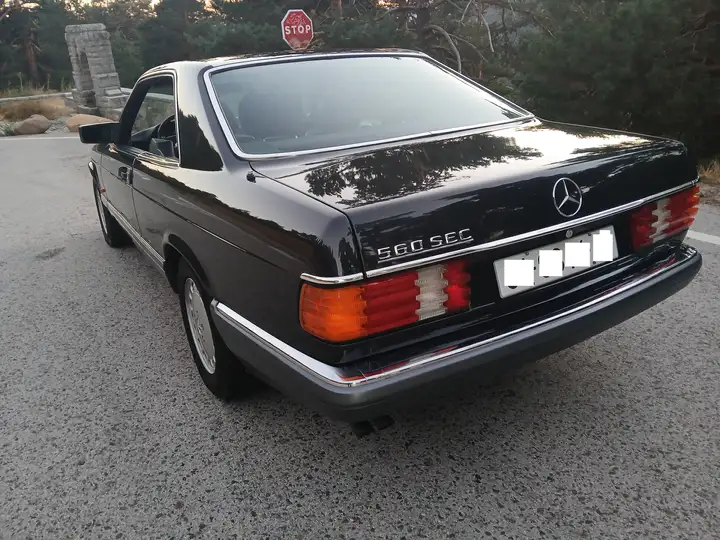 Mercedes-Benz 1991, foto 8