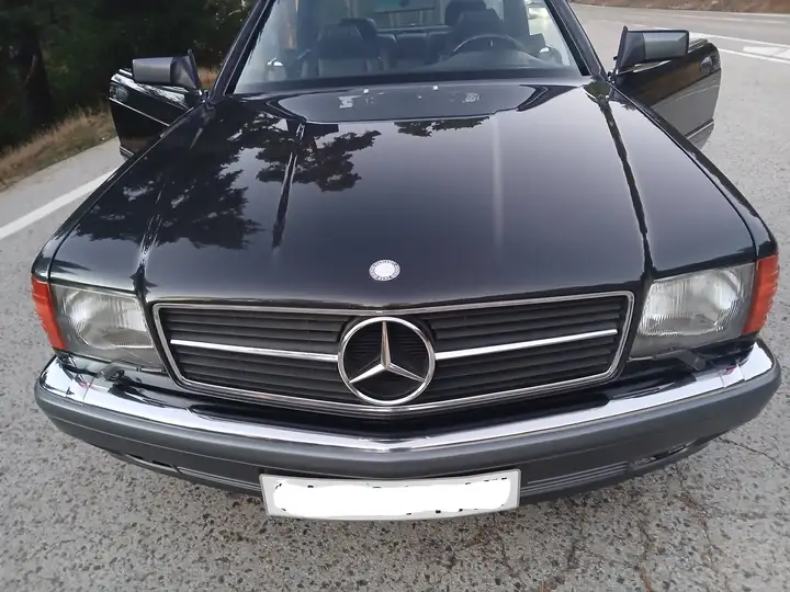 Mercedes-Benz 1991, foto 9