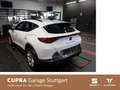 CUPRA Formentor Cupra 1.5 TSI DSG 110kW Weiß - thumbnail 5