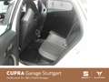 CUPRA Formentor Cupra 1.5 TSI DSG 110kW Weiß - thumbnail 8