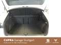 CUPRA Formentor Cupra 1.5 TSI DSG 110kW Weiß - thumbnail 11