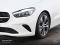 Mercedes-Benz B 250 4M PROGRESSIVE+AHK+LED+KAMERA+8G Weiß - thumbnail 5
