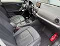 Audi Q2 30 TFSI Leder Adap.Cruise Pdc App Connect Negro - thumbnail 8