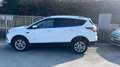 Ford Kuga Kuga 2.0 tdci Titanium 4wd 163cv auto Bianco - thumbnail 3