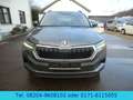 Skoda Karoq Style 4x4   ACC / Sommer- und Winterräder Grau - thumbnail 17