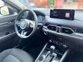 Mazda CX-5 2.2 Exceed 2wd 150cv auto Rosso - thumbnail 12
