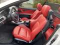 BMW 318 Cabrio/Rotes Leder/Xenon/Scheckheft/2.Hand Beyaz - thumbnail 16