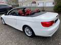 BMW 318 Cabrio/Rotes Leder/Xenon/Scheckheft/2.Hand Beyaz - thumbnail 5