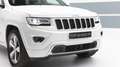 Jeep Grand Cherokee 3.0 V6 CRD 250 CV Multijet II Overland Weiß - thumbnail 12