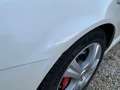Alfa Romeo 159 Sportwagon 2.0 JTDM 16V Turismo Navi Euro5 Blanco - thumbnail 15