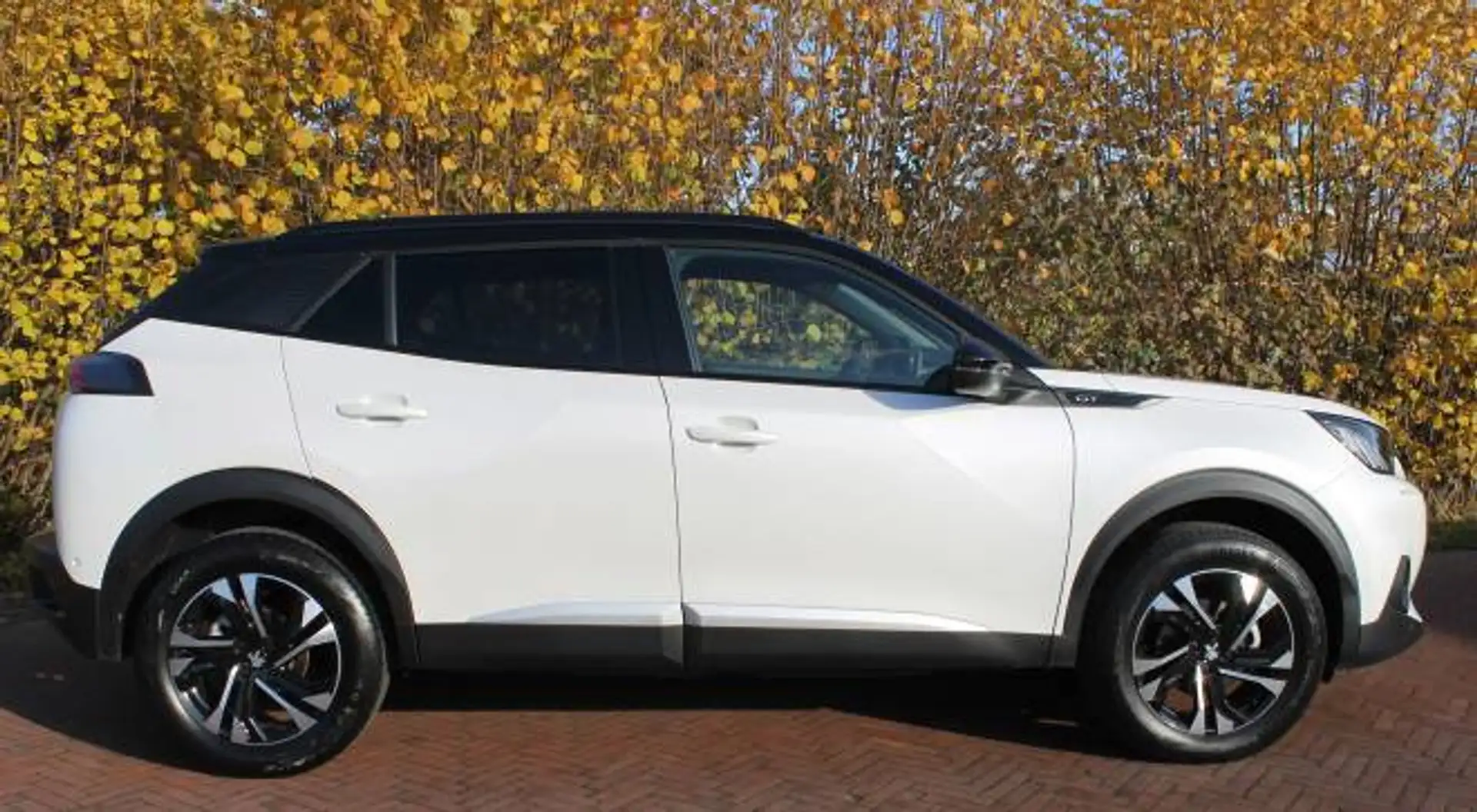 Peugeot 2008 1.2 Puretech 130pk EAT8 GT Blanc - 2