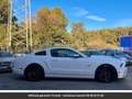 Ford Mustang Pack Shelby V8 Tout compris hors homologation 4500e Blanc - thumbnail 20