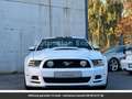Ford Mustang Pack Shelby V8 Tout compris hors homologation 4500e Blanc - thumbnail 29