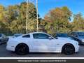 Ford Mustang Pack Shelby V8 Tout compris hors homologation 4500e Blanc - thumbnail 17