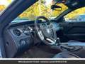 Ford Mustang Pack Shelby V8 Tout compris hors homologation 4500e Blanc - thumbnail 10