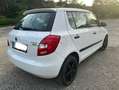 Skoda Fabia Fabia Classic 1,2 Classic Weiß - thumbnail 4