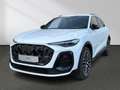 Audi SQ5 SUV TFSI Matrix-LED Panorama Navi Memory Weiß - thumbnail 16