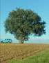 Toyota Land Cruiser 4.0 Diesel WEGENBELASTINGVRIJ ! -AIRCO- Bleu - thumbnail 6