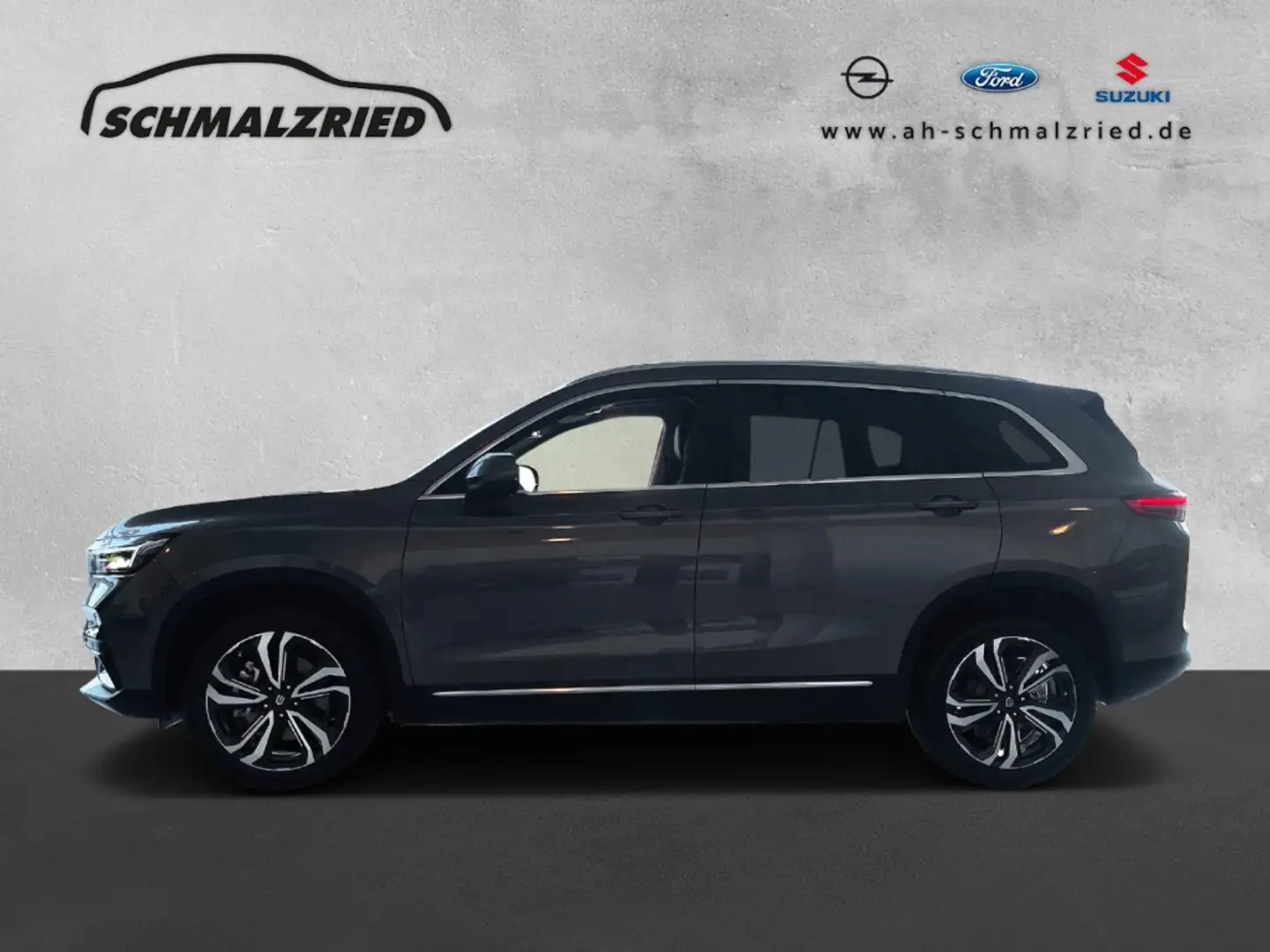 Elaris Beo kostenlose Fahrzeuglieferung in DE Navi Leder Soun Grau - 2