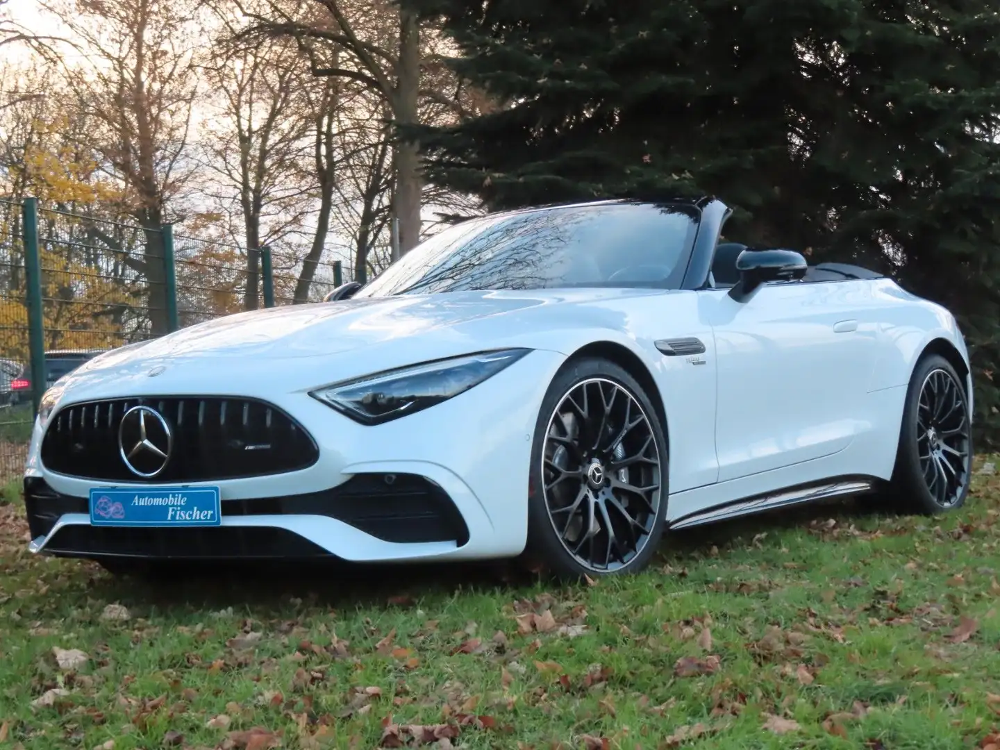 Mercedes-Benz SL 43 AMG 21 Zoll Alu-AMG+Performance-Navi-LED Alb - 1