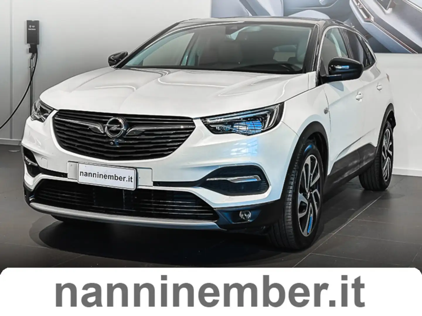 Opel Grandland X 2.0 diesel Ecotec Start&Stop aut. Innovation Wit - 1