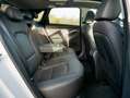 Hyundai i30 Premium+ACC+Sitzbelüft+NAVI+PANO+Memory+VOLL Weiß - thumbnail 15