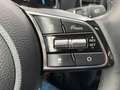 Kia XCeed Plug-in Hybrid Platinum Edition Navi Leder Schwarz - thumbnail 18