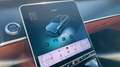 Mercedes-Benz S 350 d Azul - thumbnail 23