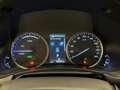Lexus NX 300 300h Business Navigation 2WD Bianco - thumbnail 4
