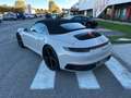Porsche 992 911 Carrera 992 Cabrio3.0 IVA ESPOSTA Grau - thumbnail 29