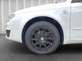 SEAT Exeo 1.8l TSI*Klima*ZV*Alufelgen*Service NEU** - thumbnail 9