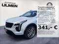 Cadillac XT4 350T Sport Vollausstattung 360Kamera Pano 20-Zoll Alb - thumbnail 1
