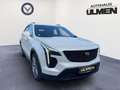 Cadillac XT4 350T Sport Vollausstattung 360Kamera Pano 20-Zoll Alb - thumbnail 3