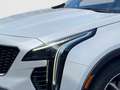 Cadillac XT4 350T Sport Vollausstattung 360Kamera Pano 20-Zoll Alb - thumbnail 6