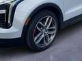 Cadillac XT4 350T Sport Vollausstattung 360Kamera Pano 20-Zoll Alb - thumbnail 7