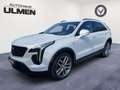 Cadillac XT4 350T Sport Vollausstattung 360Kamera Pano 20-Zoll Alb - thumbnail 2