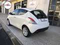 Lancia Ypsilon 1.2 69 CV 5 porte Gold Bianco - thumbnail 5