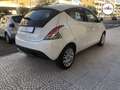 Lancia Ypsilon 1.2 69 CV 5 porte Gold Bianco - thumbnail 12