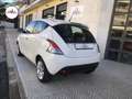 Lancia Ypsilon 1.2 69 CV 5 porte Gold Bianco - thumbnail 11