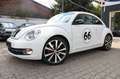 Volkswagen Beetle Lim. Sport Bílá - thumbnail 4