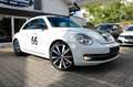 Volkswagen Beetle Lim. Sport Blanc - thumbnail 2