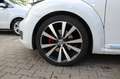 Volkswagen Beetle Lim. Sport Biały - thumbnail 7