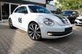 Volkswagen Beetle Lim. Sport Blanc - thumbnail 6