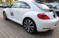 Volkswagen Beetle Lim. Sport Blanc - thumbnail 13