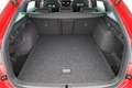 Skoda Octavia Combi 2.0 TSI 195 kW RS DSG, Pano, AHK, Navi, M... Rot - thumbnail 12