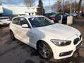 BMW 116 i Sport Line / EURO 6 /Einparkhilfe /SHZ Plateado - thumbnail 3