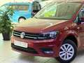 Volkswagen Caddy DSG-Behindertengerecht-Rampe Rouge - thumbnail 6